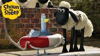 Shaun the Sheep  The Ice Bath  Full Episodes Compilation [1 hour]