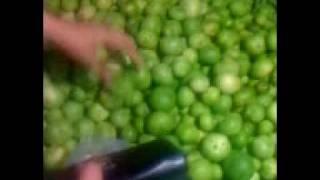 Fruit Market