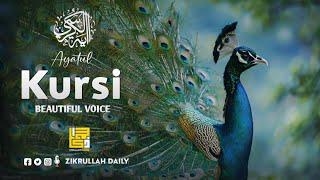 Ayatul Kursi (Throne Verse) آیت الکرسی | Amazing Voice Quran Recitation | Zikrullah Daily