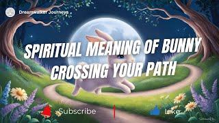 Spiritual Meaning of Bunny Crossing Your Path | Spiritual Meaning of Rabbit Crossing Your Path