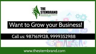 Stembrand | Digital Marketing Company in Janakpuri