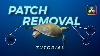 Dirt & Dust Removal in Davinci Resolve