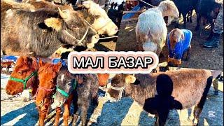 МАЛ БАЗАР / КАРА-БАЛТА / 02.02.2025г #малбазар #карабалта