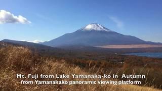 Landscape of Mt. Fuji in Autumn via Yamanakako Panoramic Viewing Platform 山中湖, 201711 [MasTV Japan]