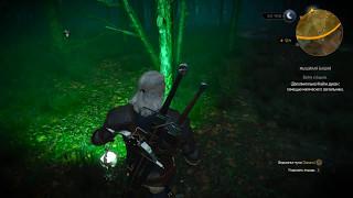 The Witcher 3: Wild Hunt # 23 Найти духов