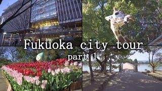 Fukuoka 福岡  city  tour part 1 // from airport to city // Zoo  & Botanical Garden // Ohori park