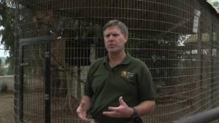 Zoo Animals : About Zoologists