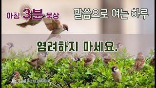 아침3분묵상 말씀으로 여는 하루 "염려하지 마세요" 전명구감독