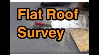 Flat Roof Survey on new warm flat roof rear extension