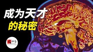 科学家发现，大脑中隐藏着成为天才的秘密模式，居然和佛教不谋而合