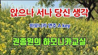 앉으나 서나 당신 생각 - 하모니카 연주