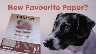 Canson Mi-Teintes Velvet Pastel Paper Review