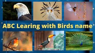 ABC Learning with Birds name | kids learning video | kids blackboard