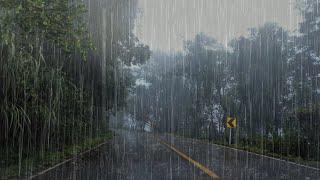 Rain Sound to Sleep Deeply and Relax in 3 Minutes - Relaxing Rain in the Foggy Forest