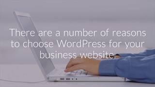 Why Choose WordPress for your Company’s Website | EGGS MEDIA | WordPress Developer Toronto, ON