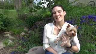 Dog Psychology & Training center | Dog training Ft. Wayne | Best Greenville dog trainer