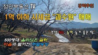 [물건번호 23-59] 1억이하 시세급 500평대 과수원 #밀양부동산 #밀양토지 #밀양땅 #밀양주말농장 #밀양주말 #밀양농막 #초동면 #밀양농막 #과수원 #대산면 #주말농장 #밀양