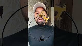 Lion challenge  #viralvideo #automobile #mrbeast #motivation #youtubepersonality