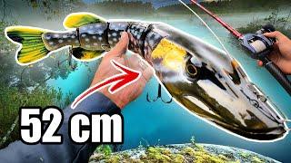 MONSTER vs Tiny Lures for PIKE FISHING  (1000 g Swimbait!!!)