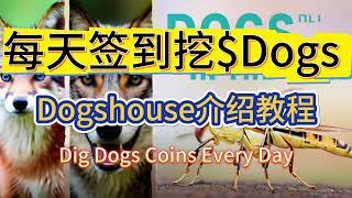 每日簽到到挖dogs兌換usdt可以提現，DogsHouse組隊更多獎勵#挖礦 #web3 #dogs