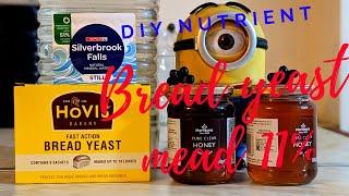 using DIY nutrient to brew bread yeast mead. 11%