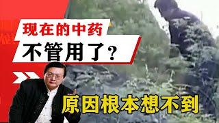 老梁揭秘系列-老梁揭秘：為啥現在的中藥不管用了？原因根本想不到，關乎每個人！老梁的評價一針見血