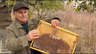 Улей Роже Делона или как получить медицинский мёд со своей пасеки