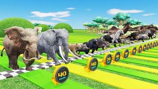 Animal Speed Challenge: Who's the Fastest?