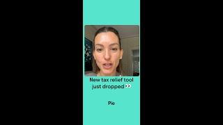Want to Pay Less Tax? Use These Reliefs Easily in the PIE App