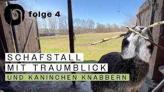 Kaninchen-Knabbern und Schafstall-Arbeiten - Folge 4