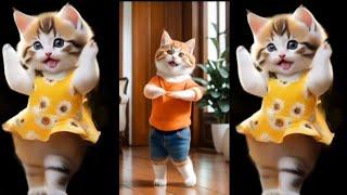 Beautiful Cat videos ️funny dance Videos for catsv#funnycats #dancingcat #catlovers