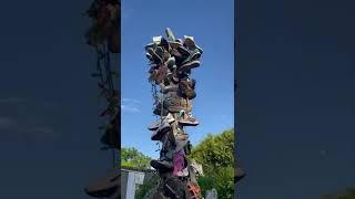 I saw this wired thing of shoes on vacation #short #jordan #nike #airjordan