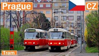  PRAGUE TRAMS / Tramvaje v Praze 2024【4K】