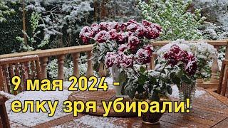 Московские миллионеры, онкология и богоизбранность - поболтаем? 