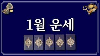 1월 운세⭐️(feat.1월에 있을 좋은 일)