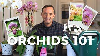 Caring for Orchids: A Step-by-Step Guide