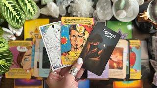 Divine Feminine & Divine Masculine ENERGY CHECK Twin Flame Reading TIMELESS