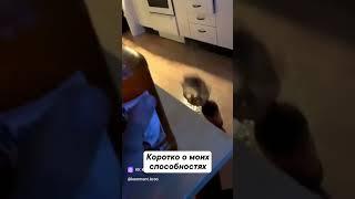 19 мая 2023 г.
