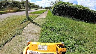 Cub Cadet Full Throttle mows a tall wet yard in real time!