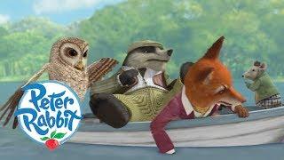 Peter Rabbit - Mr Tod, Tommy Brock and Old Brown Join Forces | Cartoons for Kids