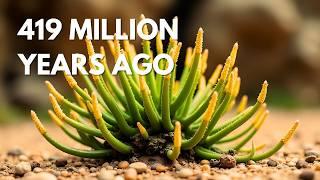 What Was Earth Like 419 Million Years Ago? - The First Plants - The Silurian Period