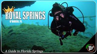 Royal Springs, Diving for FREE!!!