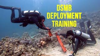 Real World - Scuba: DSMB Deployment Training & Practice