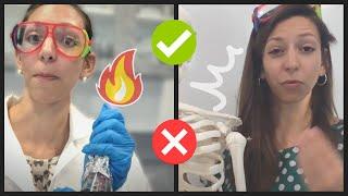 AP Biology vs. AP Chemistry: Which class is best for you?