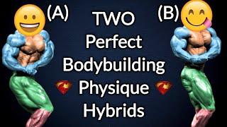 The Perfect Bodybuilding Physique Hybrid (Side Chest)