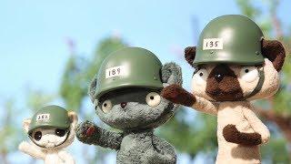 Military Cat | STOP MOTION - BOTOS