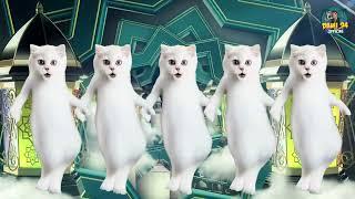 Liên Khúc Meow Meow Meow Remix - Mèo Nhảy Nhạc Vinahouse Cực Sôi Động - Nhạc Chill Remix 2024