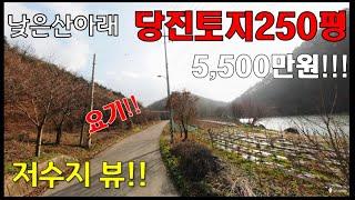 저수지보이는 당진싼땅 - 산자락아래 250평 [매매: 5,500만원]-싼임야 - 전원주택지, 주말주택지, 세컨하우스, 시골주택,  집짓고 살기좋은 곳