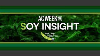 Soy insight