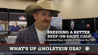 What's Up at Holstein USA: Beef on Dairy